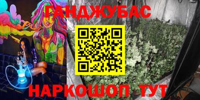 МДПВ Дубна