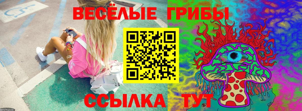 Майкоп  Псилоцибиновые грибы Cubensis  Вход с VPN 