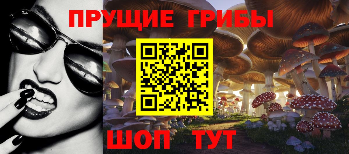 Псилоцибиновые грибы Psilocybine cubensis Майкоп